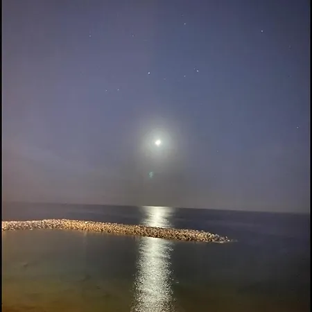 Flores 1 * بلايا ذي لاس أميريكاس