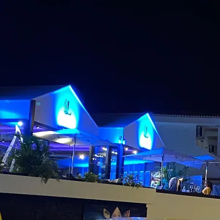 Flores 1 * بلايا ذي لاس أميريكاس