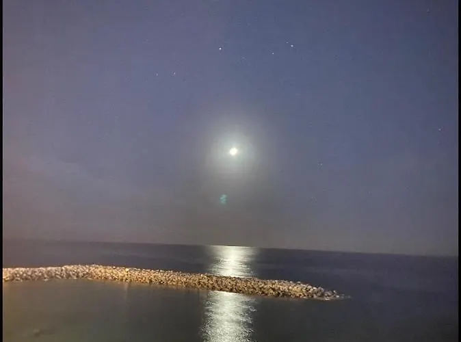 Flores 1 * 플라야데라스아메리카스