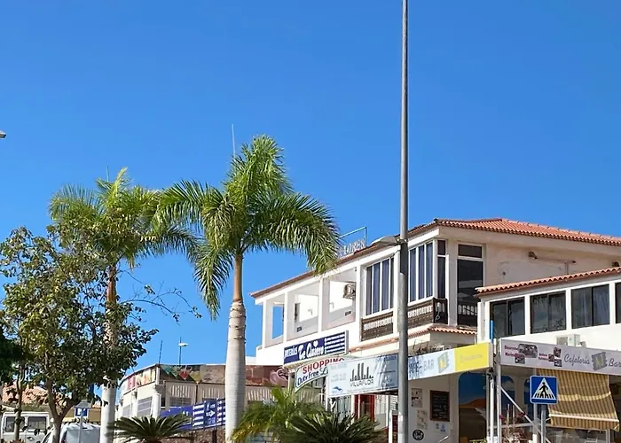 Flores 1 플라야데라스아메리카스