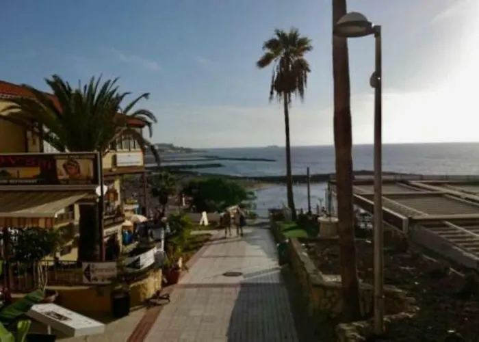 Flores 1 * 플라야데라스아메리카스