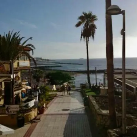 Flores 1 * Playa de las Américas