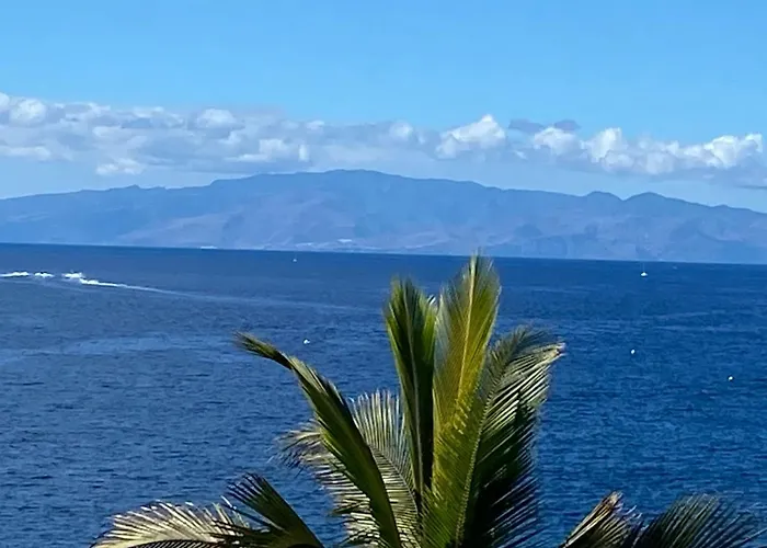 Hébergement de vacances Flores 1 Playa de las Américas