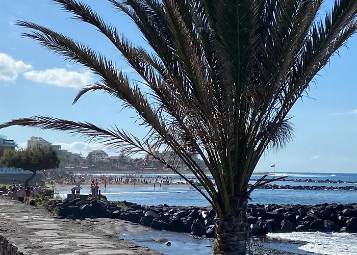 Hébergement de vacances Flores 1 *